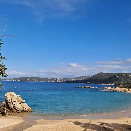 Apartament Les Terrasses De La Pinede - Appt Climatise *