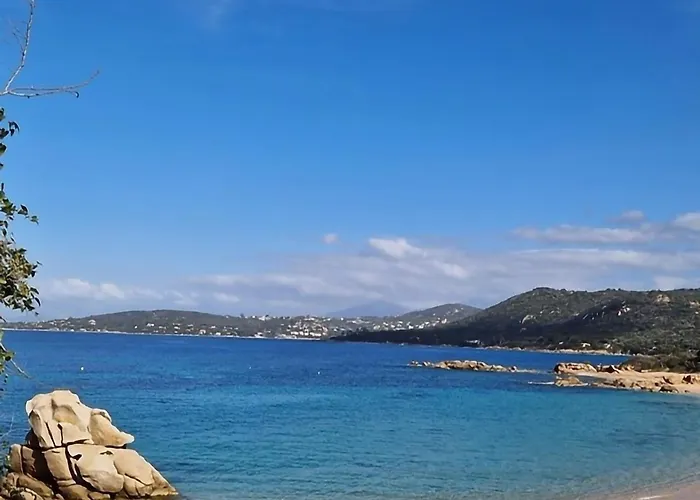 Appartement Les Terrasses De La Pinede - Appt Climatise *